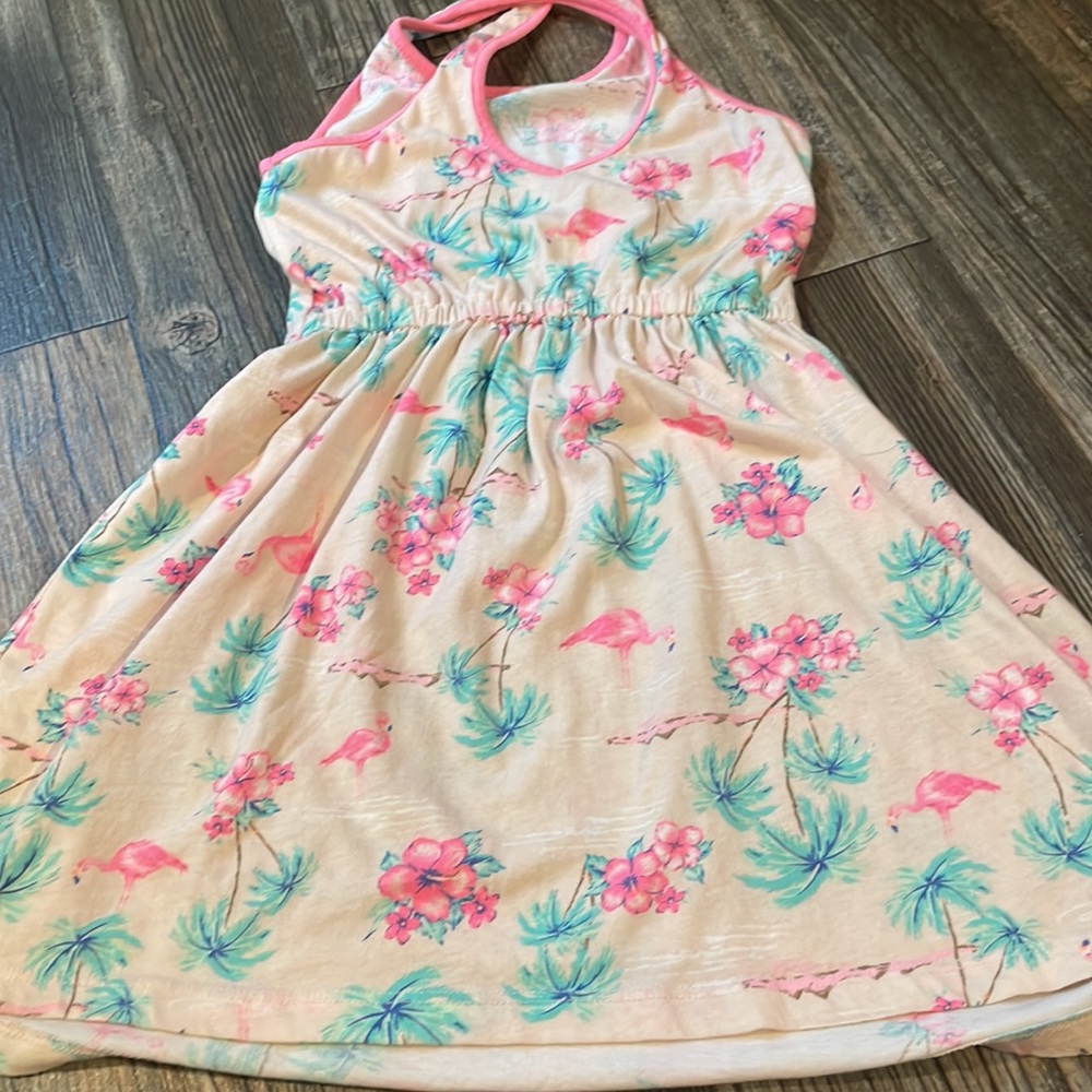 Carter’s Sundress 🌸 - Picture 3 of 5